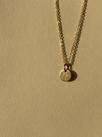 Zodiac Charm Necklace - Yellow or Rose Gold-Filled