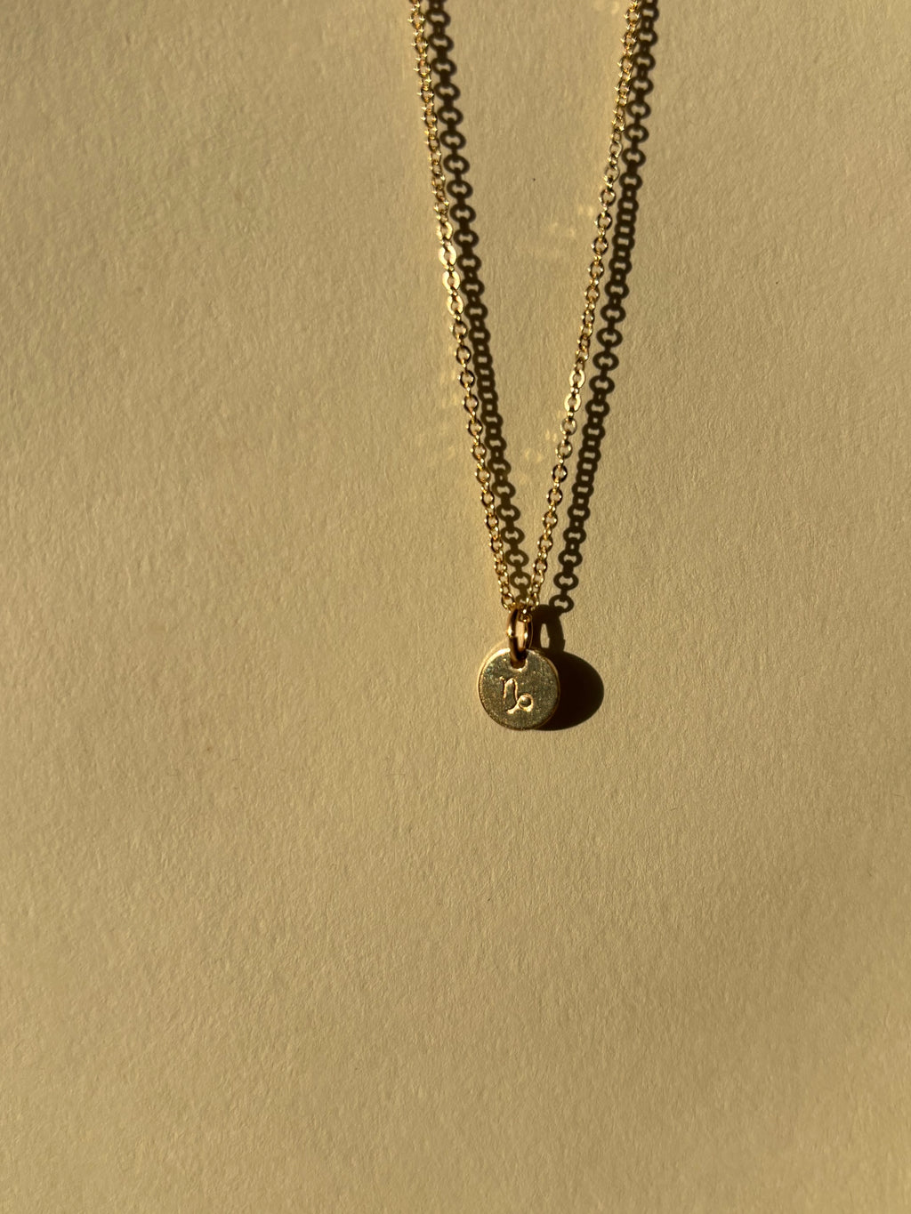 Zodiac Charm Necklace - Yellow or Rose Gold-Filled