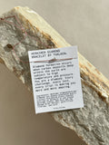 Close-up of Herkimer diamond bracelet on Thalken® mantra bracelet card, placed on a textured rock surface