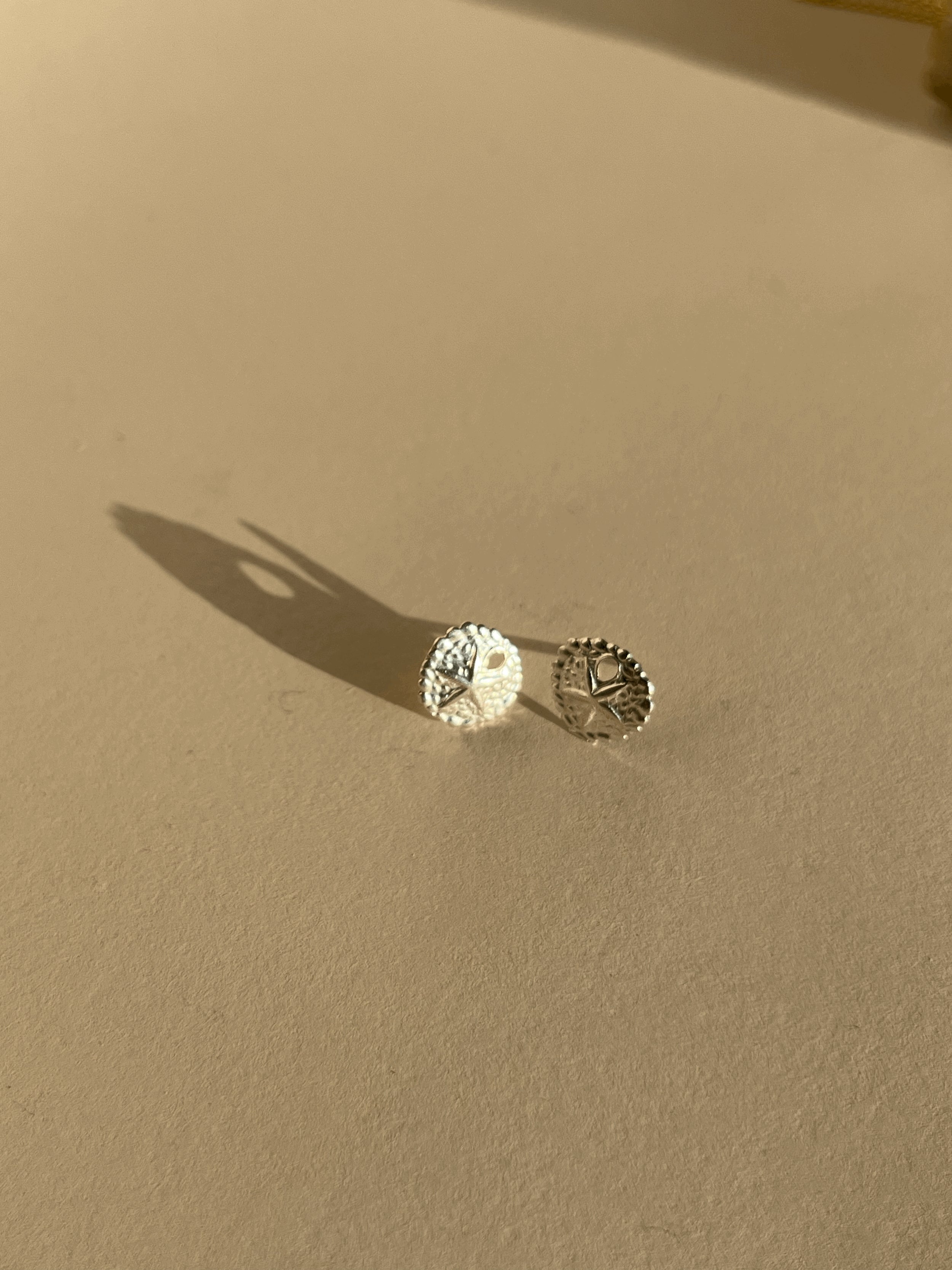 Pair of large sterling silver sand dollar stud earrings on a neutral background