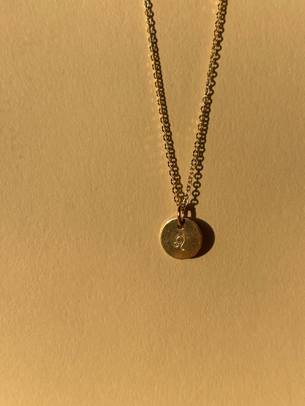 Zodiac Charm Necklace - Yellow or Rose Gold-Filled