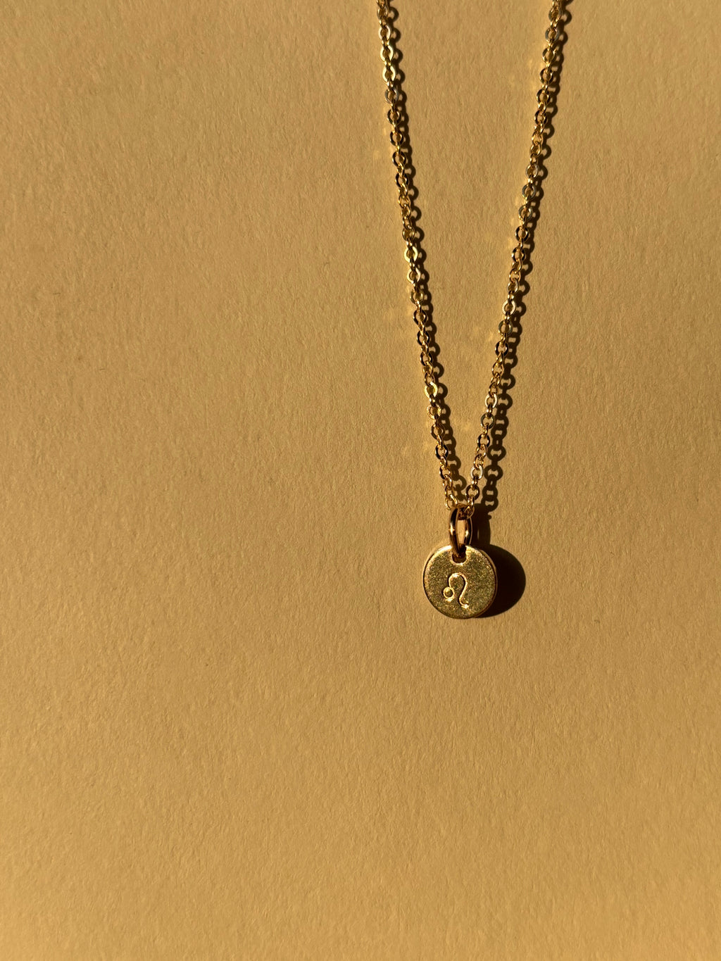 Zodiac Charm Necklace - Yellow or Rose Gold-Filled