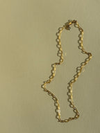 Thalken's small link paperclip necklace in yellow gold-filled on neutral backdrop in warm light