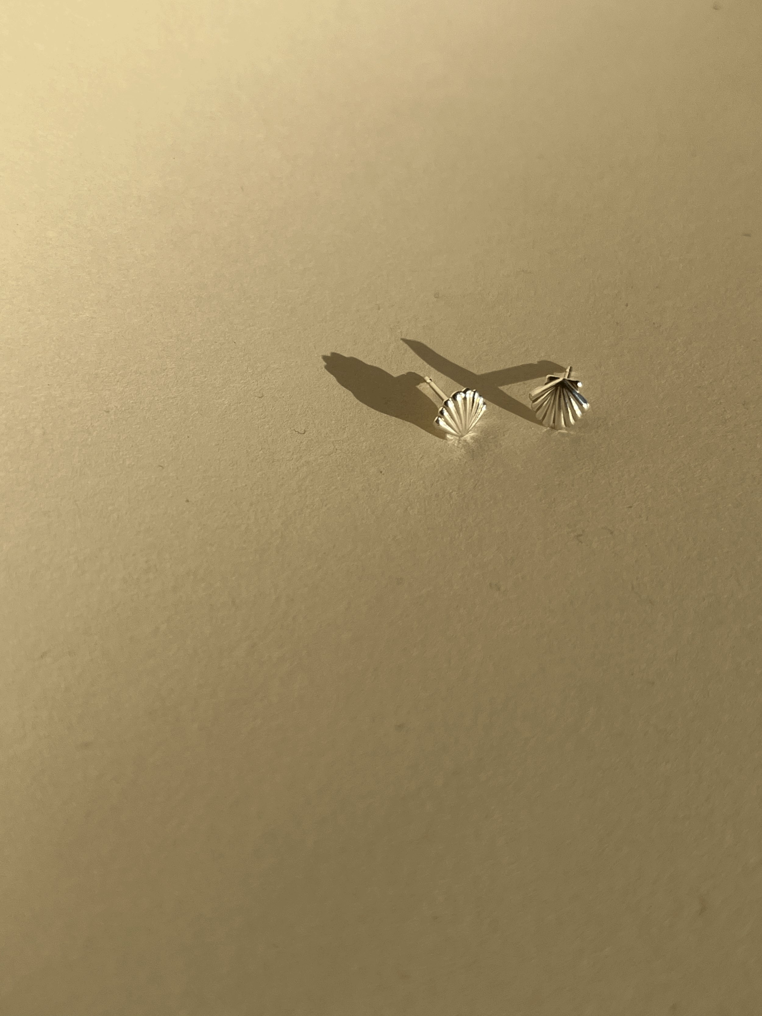 Pair of tiny sterling silver shell stud earrings on a neutral background